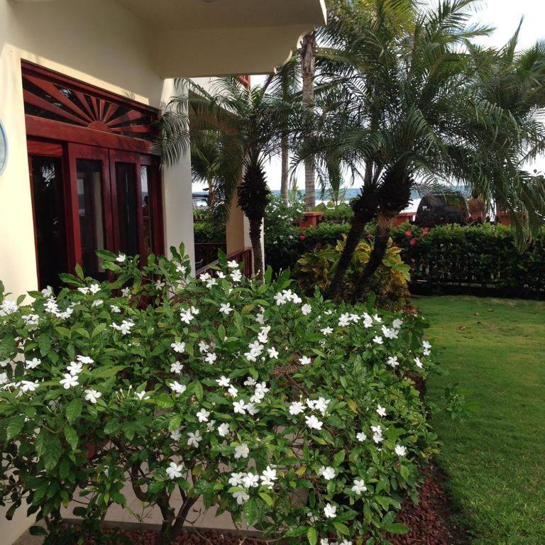 Bahia Azul 3A Villa Jacó Dış mekan fotoğraf